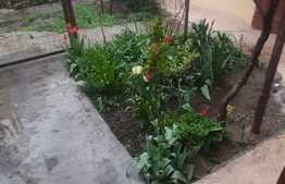 Casa la curte comuna, 55 mp utili, zona Iosefin!