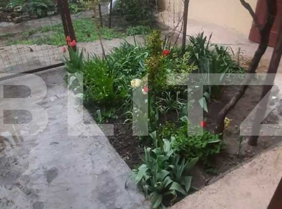 Casa de vânzare 2 camere Iosefin - 65578CV | BLITZ Timișoara | Poza5