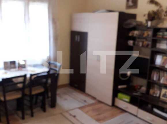 Casa de vânzare 2 camere Iosefin - 65578CV | BLITZ Timișoara | Poza12