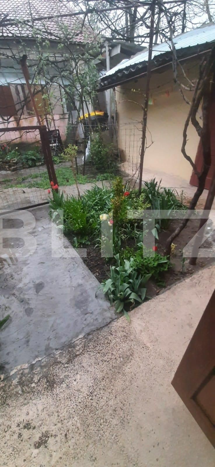 Casa de vânzare 2 camere Iosefin - 65578CV | BLITZ Timișoara | Poza5