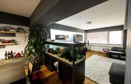 Penthouse pe 2 niveluri, 139 mp, Dorobantilor