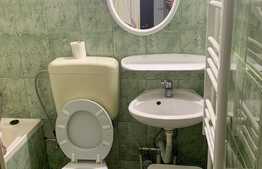 Apartament o cameră, 22mp, parter, zona Lipovei