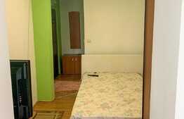 Apartament o cameră, 22mp, parter, zona Lipovei