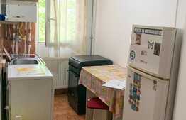 Apartament o cameră, 22mp, parter, zona Lipovei