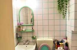 Investitie! Garsoniera cocheta, 24 mp, zona Lipovei