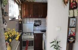 Investitie! Garsoniera cocheta, 24 mp, zona Lipovei