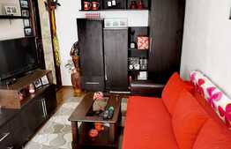 Investitie! Garsoniera cocheta, 24 mp, zona Lipovei