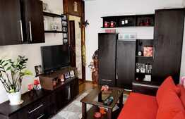 Investitie! Garsoniera cocheta, 24 mp, zona Lipovei