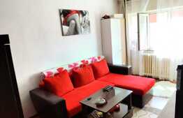 Investitie! Garsoniera cocheta, 24 mp, zona Lipovei