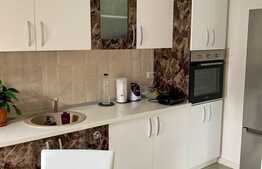 2 camere, 50 mp utili, terasă sticlă, curte 99 mp, Dumbrăvița