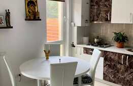 2 camere, 50 mp utili, terasă sticlă, curte 99 mp, Dumbrăvița