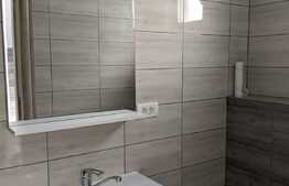 Casa individuala de vanzare, 125 mp utili, 500 mp teren, Zona Blascovici