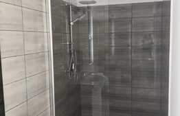 Casa individuala de vanzare, 125 mp utili, 500 mp teren, Zona Blascovici