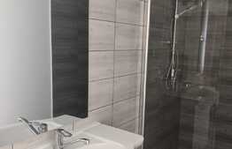 Casa individuala de vanzare, 125 mp utili, 500 mp teren, Zona Blascovici