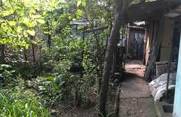 Casa D + P de 4 camere , 95 mp utili, 350 mp teren, zona Lipovei