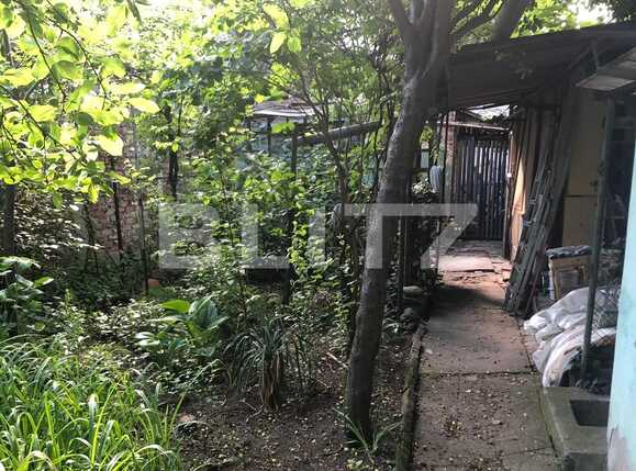 Casa de vânzare 3 camere Lipovei - 65972CV | BLITZ Timișoara | Poza17