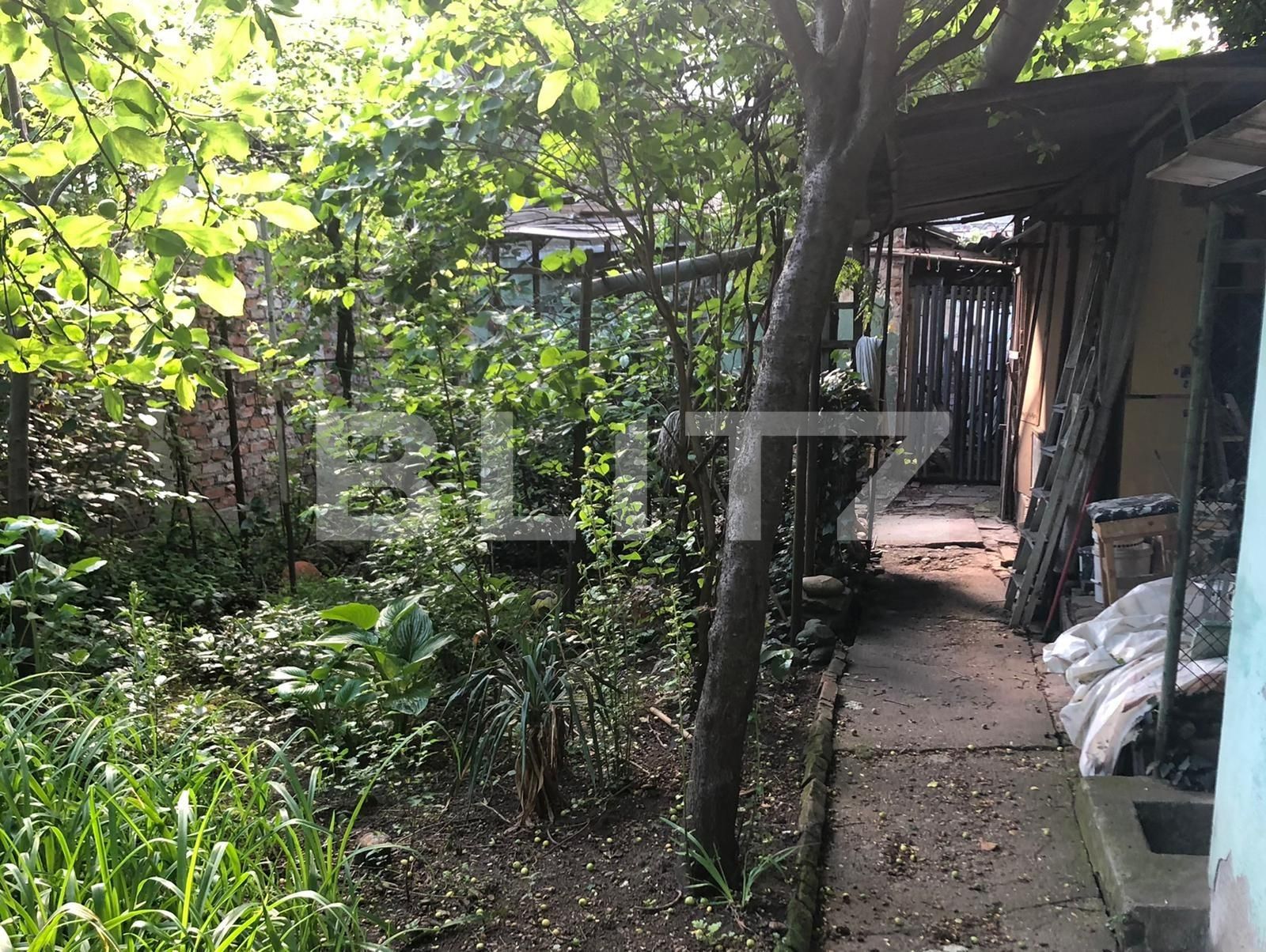 Casa de vânzare 3 camere Lipovei - 65972CV | BLITZ Timișoara | Poza17