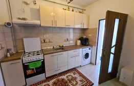 Apartament o cameră, 46mp, curte comună, complet renovat, Bălcescu