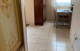 Apartament 1 camera, 40mp, Aem