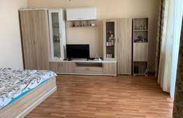 Apartament 1 camera, 40mp, Aem