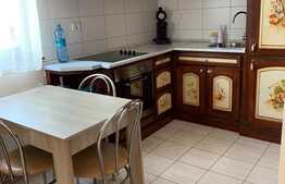 Apartament 1 camera, 40mp, Aem