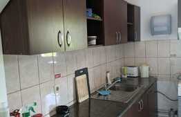 Casa cu depozit la parter 680 mp utili, teren 731 mp, Zona Lipovei