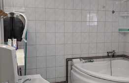 Casa cu depozit la parter 680 mp utili, teren 731 mp, Zona Lipovei