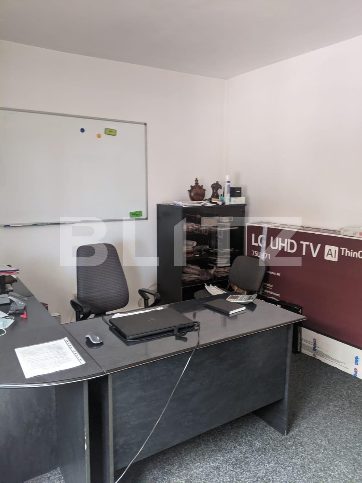 Casa de vânzare 6 camere Lipovei - 66077CV | BLITZ Timișoara | Poza7