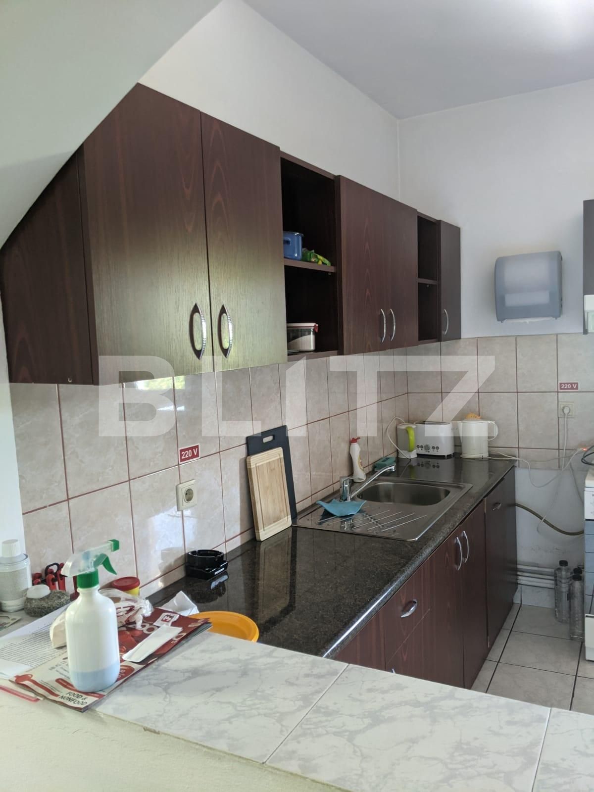 Casa de vânzare 6 camere Lipovei - 66077CV | BLITZ Timișoara | Poza4