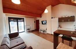 Apartament 2 camere, 50 mp, loc de parcare, Dumbravita (zona Kaufland)