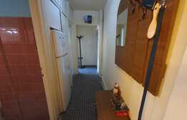 Oportunitate investitie! Apartament 3 camere, 56 mp, etaj intermediar, Complex Studentesc