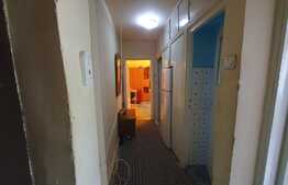 Oportunitate investitie! Apartament 3 camere, 56 mp, etaj intermediar, Complex Studentesc