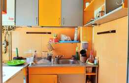 Ideal investitie ! Apartament 1 camera, 30 mp, zona Freidorf