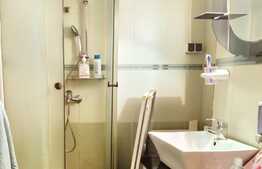 Ideal investitie ! Apartament 1 camera, 30 mp, zona Freidorf