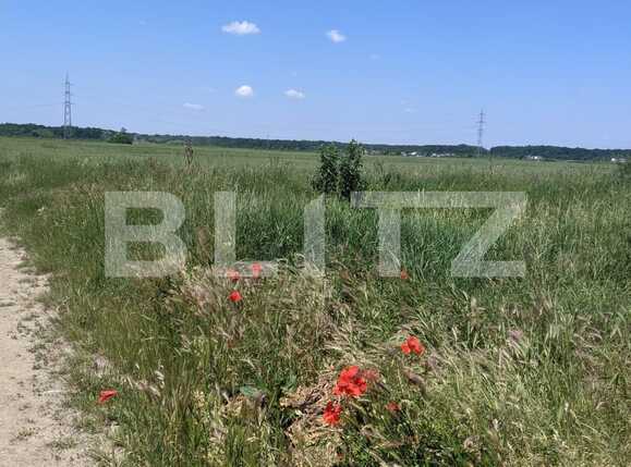 Teren de vânzare Ghiroda - 66240TV | BLITZ Timișoara | Poza1