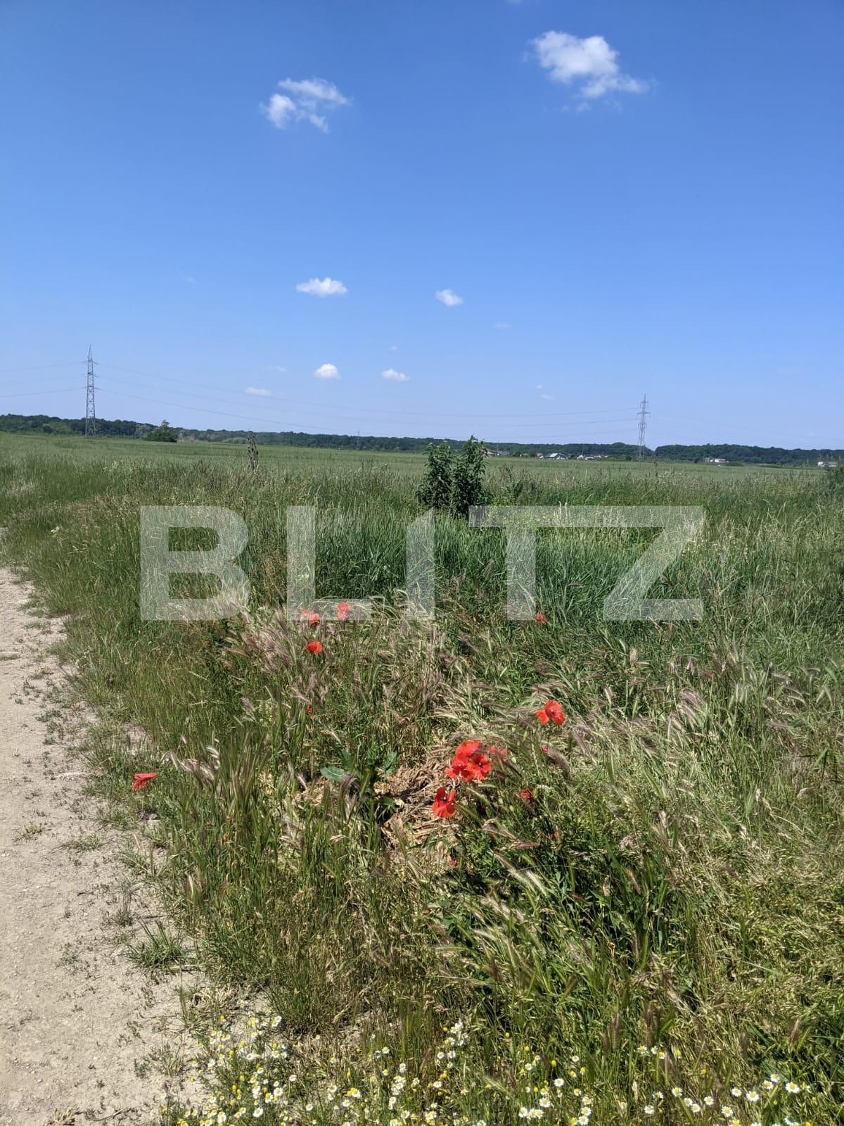 Teren de vânzare Ghiroda - 66240TV | BLITZ Timișoara | Poza1