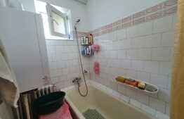 Apartament vintage cu 3 camere, zona Dacia + boxa