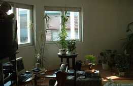 Casa individuala, 6 camere, 400 mp utili, 1150 mp teren, Dumbravita