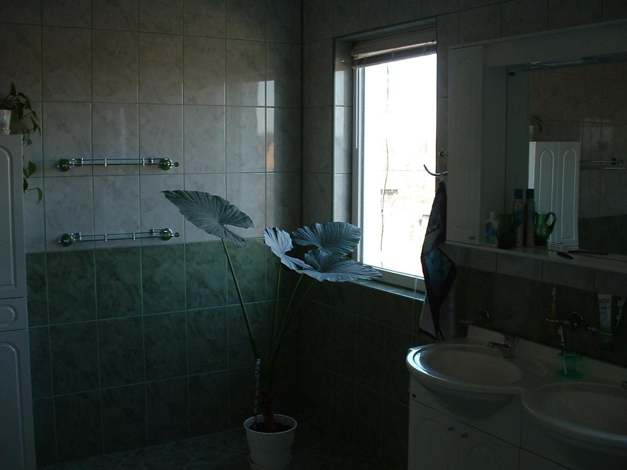 Casa de vânzare 6 camere Dumbravita - 66466CV | BLITZ Timișoara | Poza13