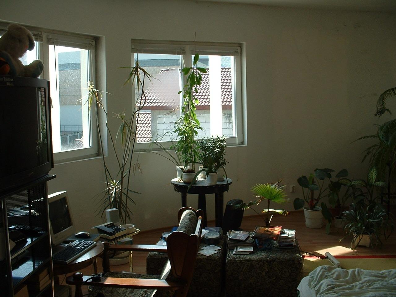 Casa de vânzare 6 camere Dumbravita - 66466CV | BLITZ Timișoara | Poza9