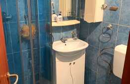 Garsoniera 24 mp, situata la parter, zona Buziasului, AEM