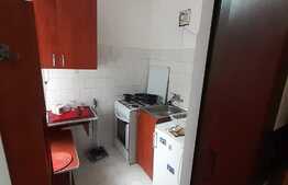 Garsoniera 24 mp, situata la parter, zona Buziasului, AEM