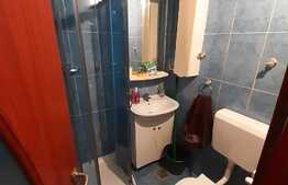 Garsoniera 24 mp, situata la parter, zona Buziasului, AEM