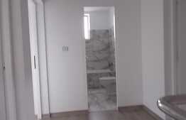 Casa noua 130 mp utili, la cheie, zona Sacalaz, 10 km de centrul Timisoara! Pret accesibil!