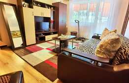 Apartament 3 camere, 50 mp, etaj intermediar, situat in zona Torontalului