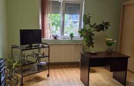 Casa individuala, 284 mp utili, 554 mp teren, Zona Aradului/Lipovei