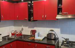 Casa individuala, 284 mp utili, 554 mp teren, Zona Aradului/Lipovei