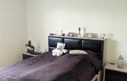 Casa individuala, 284 mp utili, 554 mp teren, Zona Aradului/Lipovei