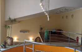 Vila exclusivista, 474 mp utili, teren 700 mp, catre liziera padurii, Dumbravita