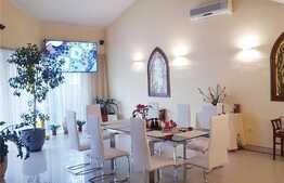 Vila exclusivista, 474 mp utili, teren 700 mp, catre liziera padurii, Dumbravita